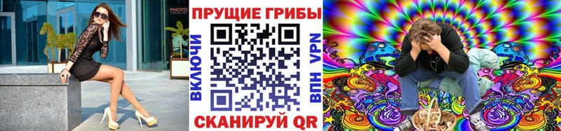 hydra ССЫЛКА  Шали  Галлюциногенные грибы Cubensis 